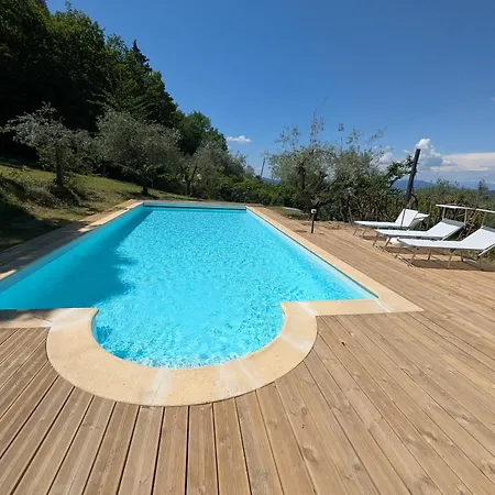 Fontestanza - La Mimosa Romola