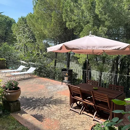 Fontestanza - La Mimosa Romola